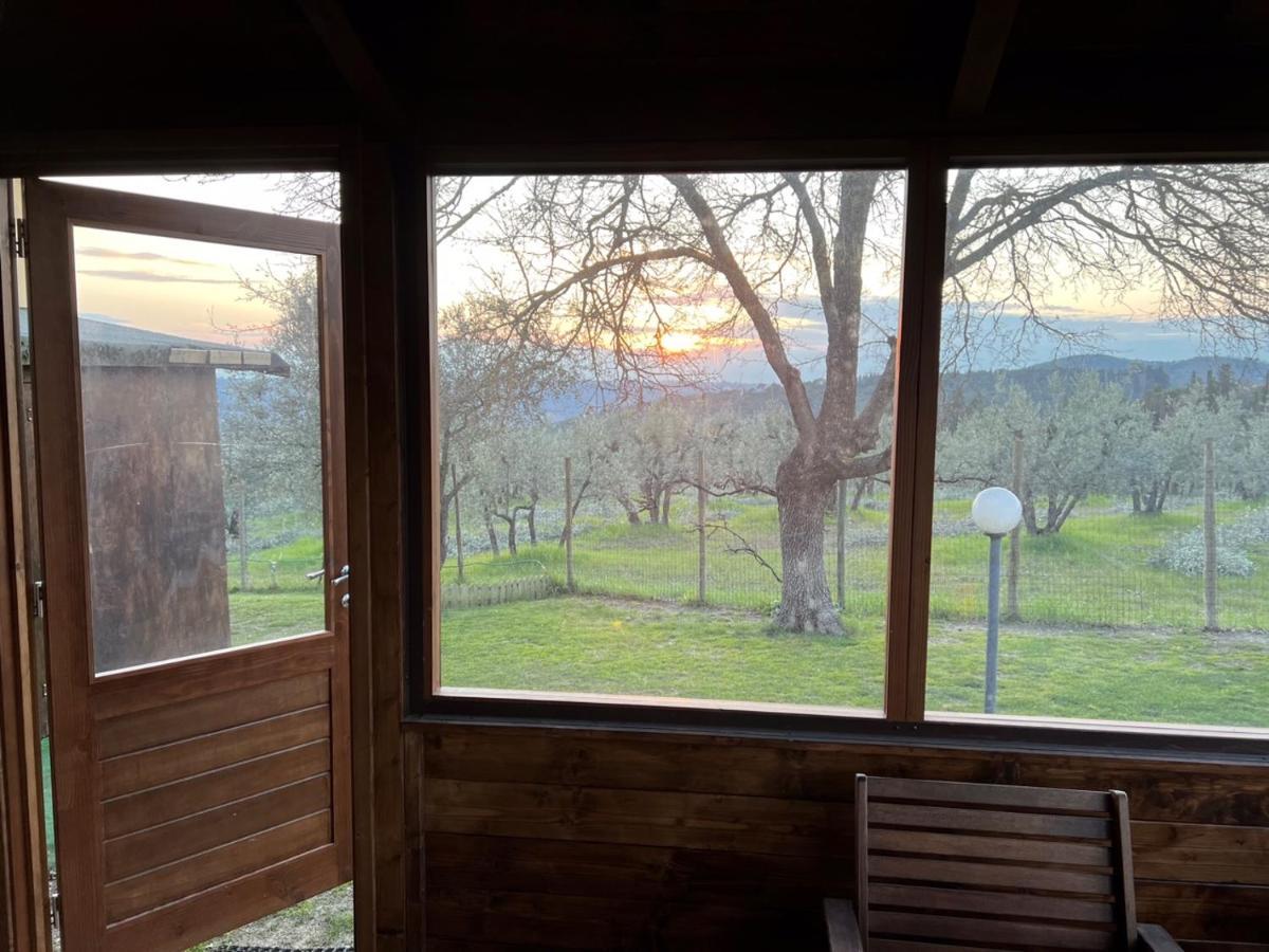 إمبرونيتا B&B Sei Cipressi المظهر الخارجي الصورة