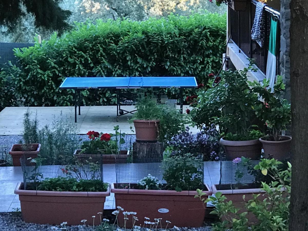 إمبرونيتا B&B Sei Cipressi المظهر الخارجي الصورة